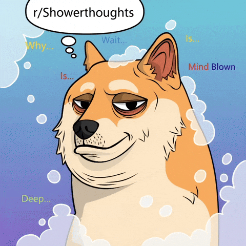 Shiba Inu Mind Blown GIF by Doge Pound