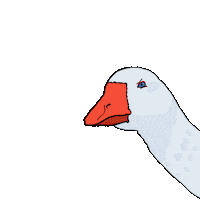 Goose No Sticker