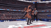 Double Team Fight GIF by DAZN