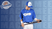 Happy Baseball GIF by Evansville Otters