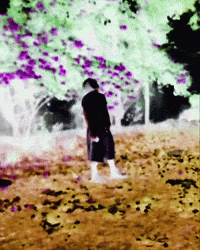 Musica Luv GIF