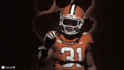 Clemson Football GIF by Clemson Tigers
