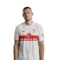 Waldemar Anton Football Sticker by VfB Stuttgart