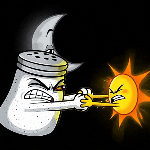 Sun And Moon GIF by SALT