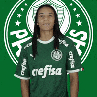 Palmeiras sorriso palmeiras dancinha vc GIF
