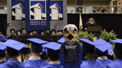 HeartlandCommunityCollege  GIF