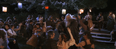 the lord of the rings the fellowship of the ring GIF