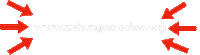 homepage seminar Sticker by Zeitungsmacher