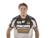 Super Rugby Archer Sticker by BrumbiesRugby