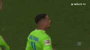 Football Sport GIF by VfL Wolfsburg