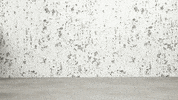 Dimehouse  GIF
