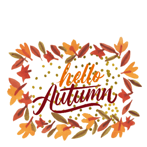 Fun Flower Sticker by The SOL Foundation