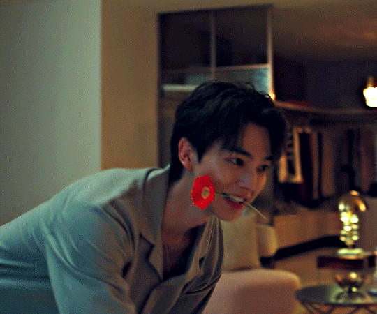 Song Kang GIF