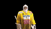Hockey Ice GIF by Vienna Capitals