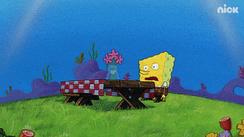 Season 1 Water GIF by SpongeBob SquarePants