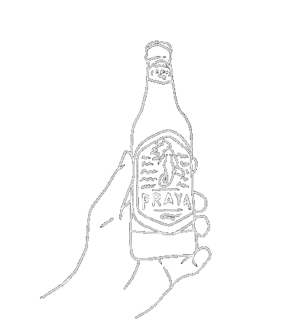 Beer Brazil Sticker by Cerveja Praya