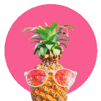 tawnyajean love peace sunglasses fruit Sticker