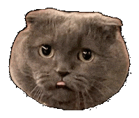 지드래곤 권지용 Sticker