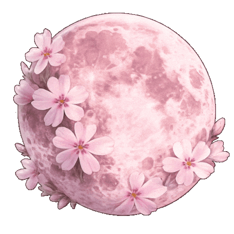 Pink Flower Sticker