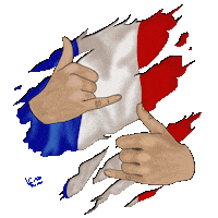 France Uefa Sticker