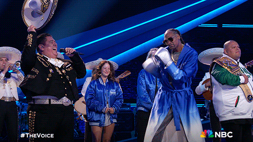 Lets Go Champ GIF by The Voice