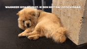 jongcdenv sammy jong cdv mahdi GIF