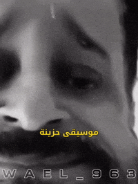 Wael GIF
