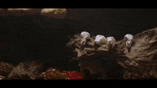What The Dead Men Say GIF by Trivum