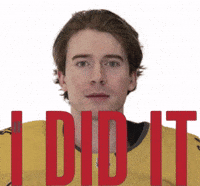 Vegas Golden Knights GIF