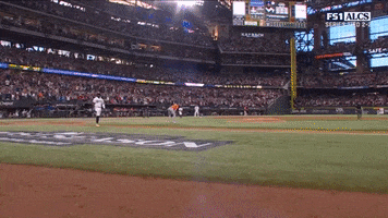Major League Baseball Sport GIF by MLB