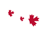Leaf Leaves Sticker by Canada Life / Canada Vie