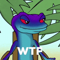 What The Wow GIF by Snek