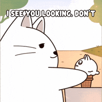 Staring Stay Away GIF by MESA My Emotional Support Animal