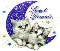 Sweet Dreams Sticker