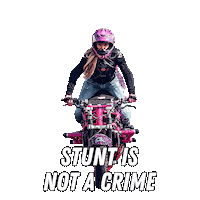 Motorcycle Stuntbike Sticker by Crazy Iron