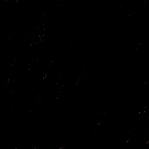 Black Woman Biden GIF by Creative Courage