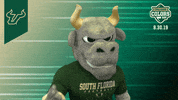 College Sports Bulls GIF by College Colors Day