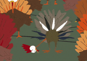 turkey shoot GIF by South Park 