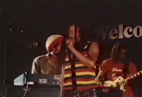 lively up yourself GIF by Bob Marley