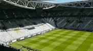 juventusfc juventus stadium GIF