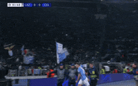 Champions League Football GIF by UEFA