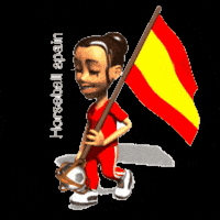 Spain GIF by Horseballesp