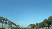 GIF by Nick Krem