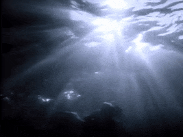 Ocean Swimming GIF by Pretty Dudes