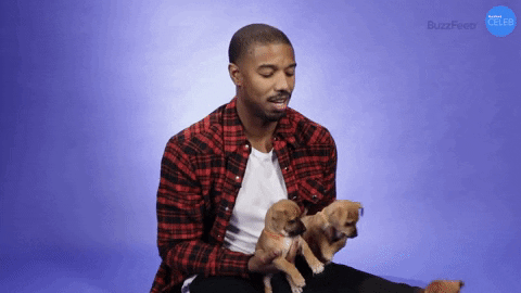 Michael B Jordan GIF by BuzzFeed