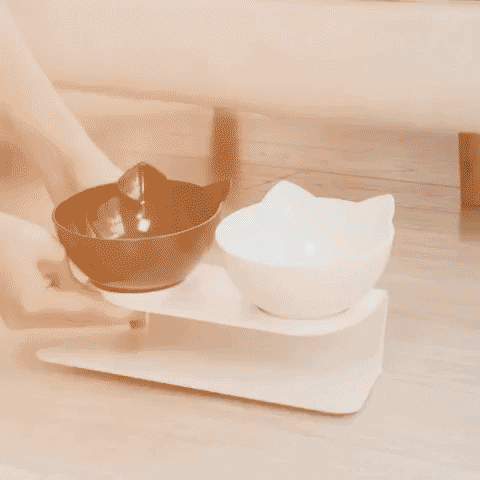 Snezana1 giphyupload GIF