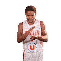 Sport Basketball Sticker by Cholet Basket