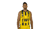 Ewe Baskets Basketball Sticker by EWE Baskets Oldenburg