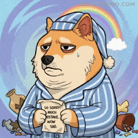 Sad Shiba Inu GIF by Doge Pound
