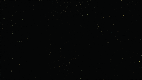 fire bran dougherty-johnson GIF by Yule Log 2.015